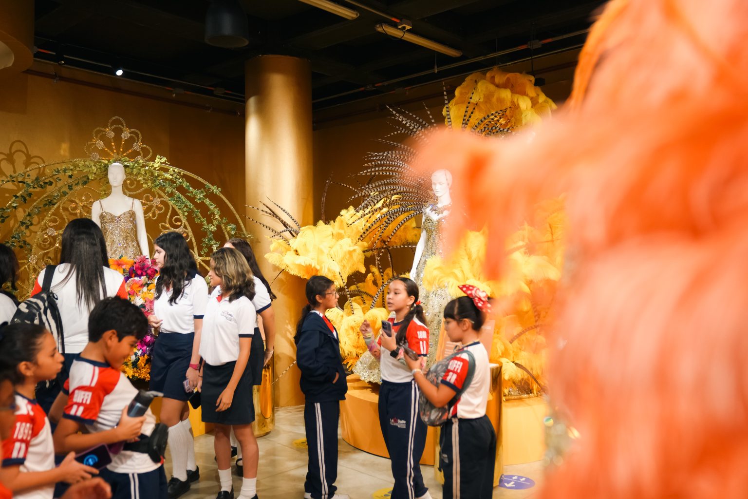 El Museo del Carnaval abre sus puertas con entrada libre para unirse a ...