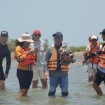 Carnaval de Barranquilla convierte la biodiversidad en protagonista y proyecta a la ciudad desde la biocultura